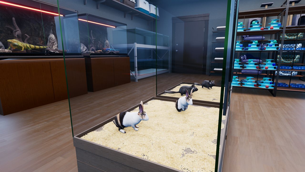异域风情2：宠物店模拟器游戏截图